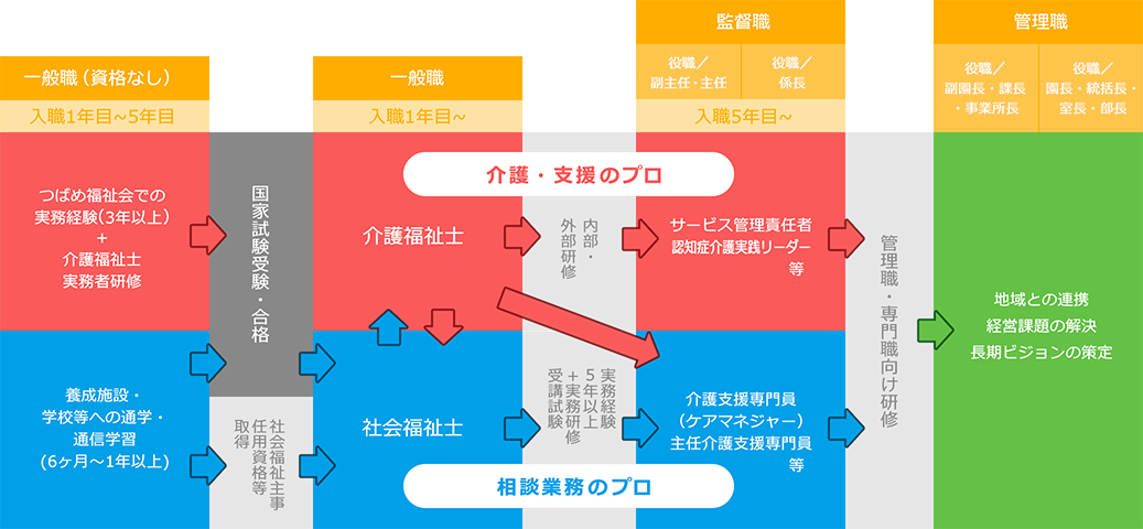 基礎業務の習得から資格習得でキャリアアップまで